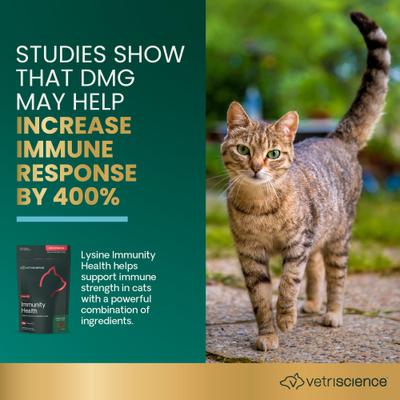 Lysine Plus Lysine Immunity Health - Masticables con sabor a pollo - Suplemento inmunológico para gatos, 120 unidades