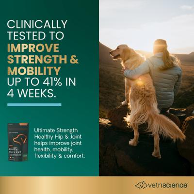 GlycoFlex Plus Ultimate Strength - Masticables con sabor a mantequilla de maní, glucosamina y condroitina, para caderas y articulaciones saludables, suplemento para perros medianos y grandes, 120 unidades