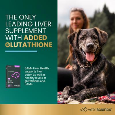 VETRI SAMe 225 S-adenosil-metionina, suplemento desintoxicante para el hígado, para perros de razas medianas y grandes, 30 comprimidos