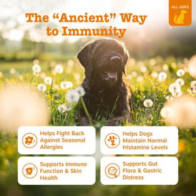 Aller Immune Ancient Elements para Perros sabor Bisonte 90 chews