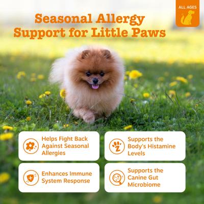 Allergy & Immune Mini Bites para Perros Pequeños sabor Cordero 90 chews