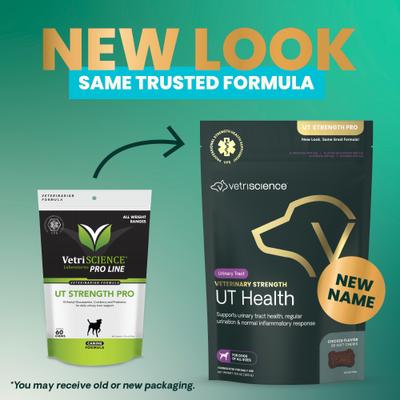 Masticables con sabor a pollo UT Health de Veterinary Strength, suplemento para la vejiga y el tracto urinario de perros, 60 unidades