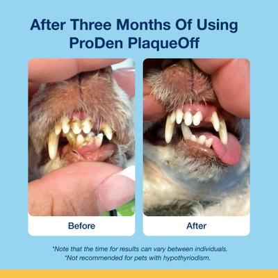 ProDen, PlaqueOff Holistic Soft Bites Oral Care with Hip & Joint, A.N ProDen + Glucosamine + Chondroitin, sabor Camote y Pollo, 170 g.