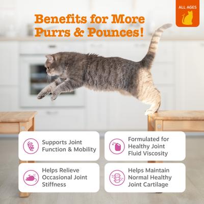 Hip & Joint Bites con Glucosamina para Gatos sabor Pollo 60 chews