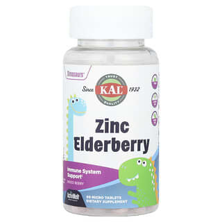 Dinosaurs, Zinc Elderberry, Mixed Berry, 90 Micro tabs