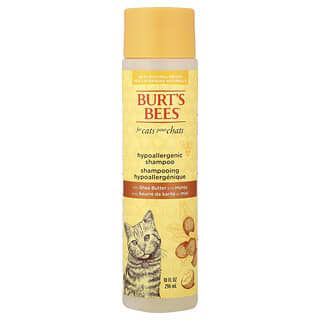 Hypoallergenic Shampoo with Shea Butter & Honey, para Gatos, 10 fl oz (296 ml)