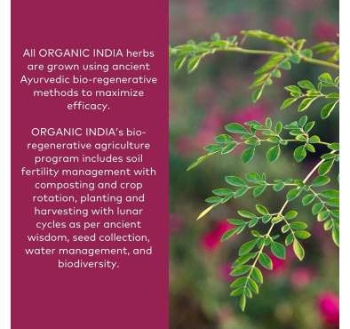 Organic India, Ashwagandha Orgánica. 60, 90 y 180 caps
