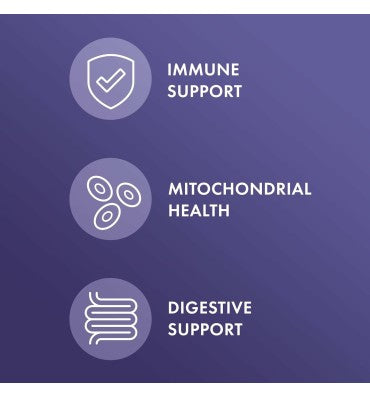 Enzimas Lumbroquinasa (Lumbrokinase Enzymes
