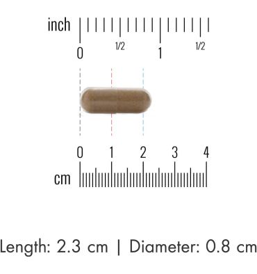 Mezcla de Hongos Fermentados, Inmunidad . 90 caps.