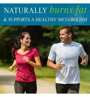 Garden of Life FucoThin, Soporte para Metabolismo saludable y niveles de Azúcar. 90 cáps veg