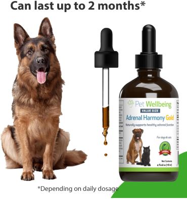 Soporte Adrenal Gold para Perros y Gatos con Cushing. 59 ml.