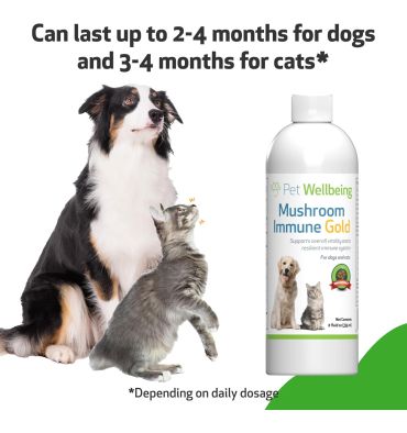 Apoyo Holístico contra el Cancer a base de Hongos. 236 ml.