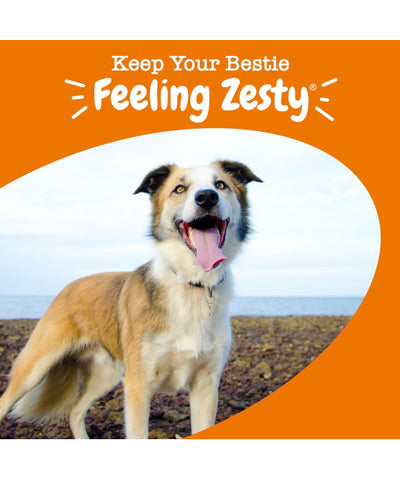 Zesty Paws, 8 in 1 Multivitamin Bites, para Perros sabor crema de cacahuate. 90 chews
