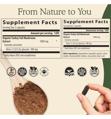 "Immune Support"; Extracto de Hongo Turkey Tail Orgánico. 4 opc