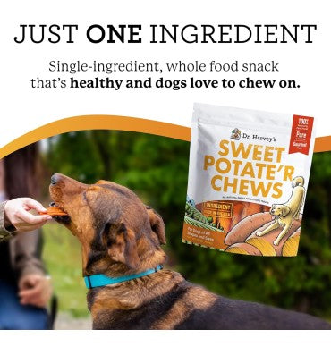 Digestive Probiotic for Dogs, 9 Probiotics for Gut Health. 90 chew