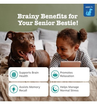 Senior Advanced Calming & Cognition, soporte Sistema Nervioso y Cerebro. 90 chews
