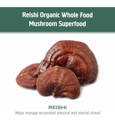 OM Mushroom, Mezcla de Hongos Relax, Reishi, Aswaghandha, Gaba, Magnesio. 90 unidades