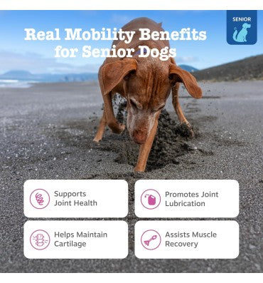 Senior Advanced Mobility Joint. Supplemento con Glucosamina, Chondroitina y MSM, Vitamina C y E, sabor Pollo.90 chews