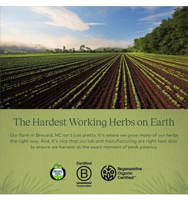 Próstata Saludable con Saw Palmetto. 60 Vcaps