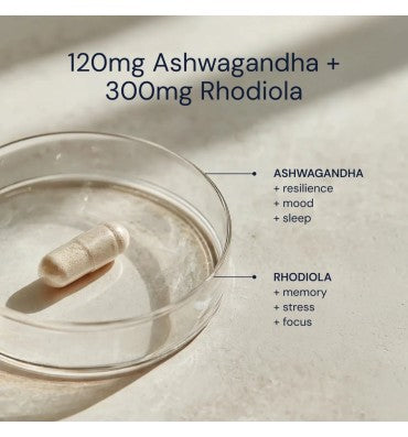 Ashwagandha + Rhodiola BALANCE • FOCUS • CALM