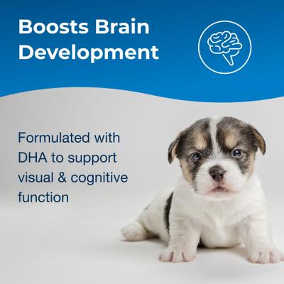 PetAg, Esbilac Healthy Development / 2nd Step, Puppy Weaning Food, DHA + Vitamin E, 397 g / 2.27 kg.