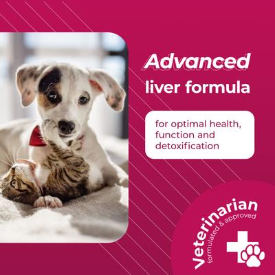 VETRI SAMe 90 comprimidos Suplemento hepático para gatos y perros, 30 comprimidos