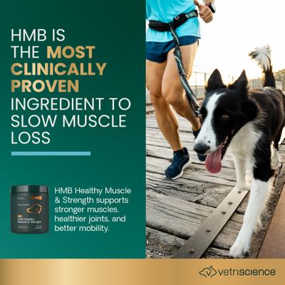 Gránulos con sabor a cerdo HMB Healthy Muscle & Strength para perros, bolsa de 8.47 oz