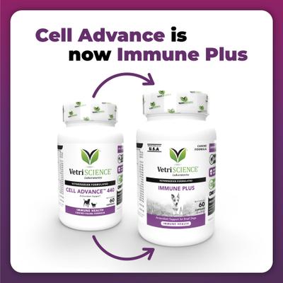 Immune Plus - Refuerzo inmunológico para perros pequeños, 60 unidades