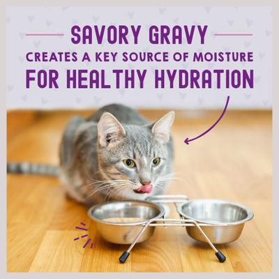 Alimento Húmedo Carnivore Cravings Morsels N Gravy para Gato sabor Salmón y Macarela 12 pack