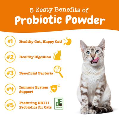 Probiótico en Polvo para Digestión de Gatos sabor Calabaza 30 unidades