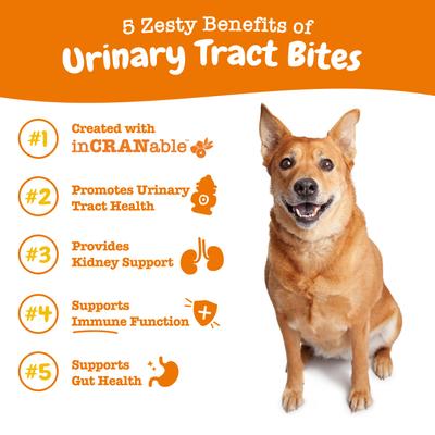 Urinary Tract Bites para Vejiga y Riñón de Perros 4 presentaciones