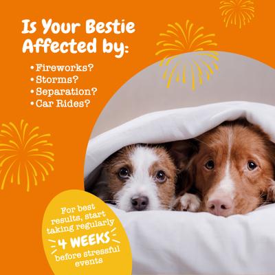 Calming Bites Hemp Elements Plus con Extracto de Cáñamo para Perros sabor Roast Beef 45 chews