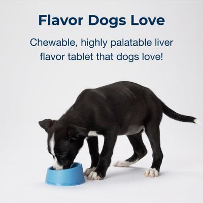 PetAg, Sure Grow 100, Calcium + Phosphorus + Vitamins A & D, para Cachorros, 100 tabletas masticables.