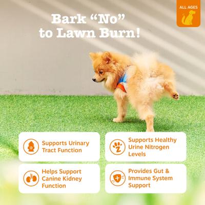 Stay Green Bites Neutralizador de Orina y Digestivo para Perros 2 presentaciones