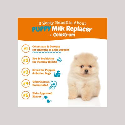 Reemplazo de Leche con Calostro para Cachorros y Perros Senior 338 g
