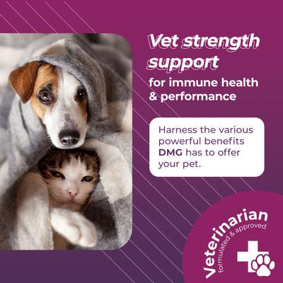 Vetri-DMG - Suplemento inmunológico líquido para perros, gatos y aves (28 ml)