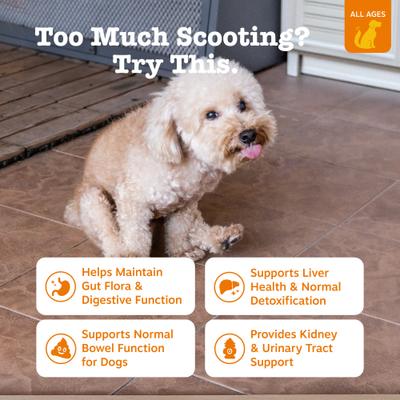 Scoot Away Bites Digestivos para Perros sabor Pollo 2 presentaciones