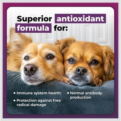 Immune Plus - Refuerzo inmunológico para perros, 120 comprimidos
