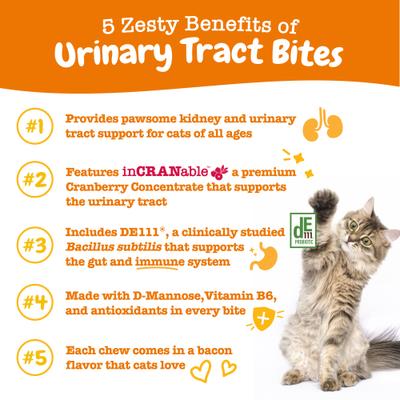 Urinary Tract Bites con Arándano para Vías Urinarias de Gatos sabor Tocino 60 chews