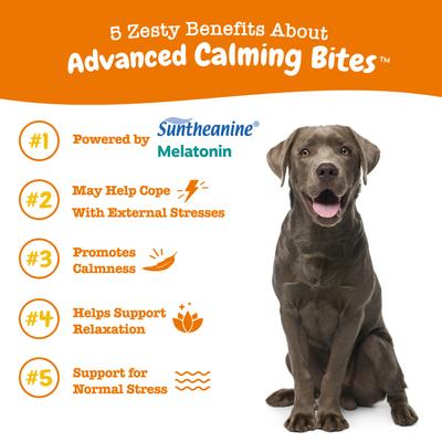 Advanced Calming Bites con Melatonina y Hemp para Perros sabor Pavo 3 presentaciones