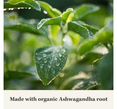 Raíz de Ashwagandha, Soporte para el Estrés. 30 caps