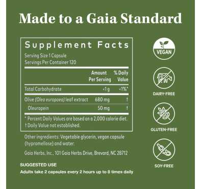 Gaia Herbs, Olive Leaf soporte Inmunológico. 120 Vcaps