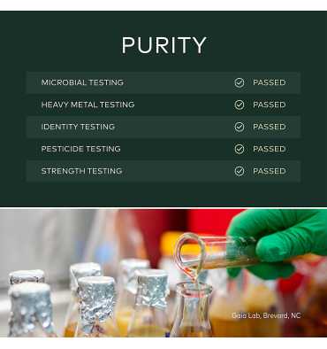 Leche Dorada, (Golden Milk) Cúrcuma, Dátil y Hierbas, 105 gr.