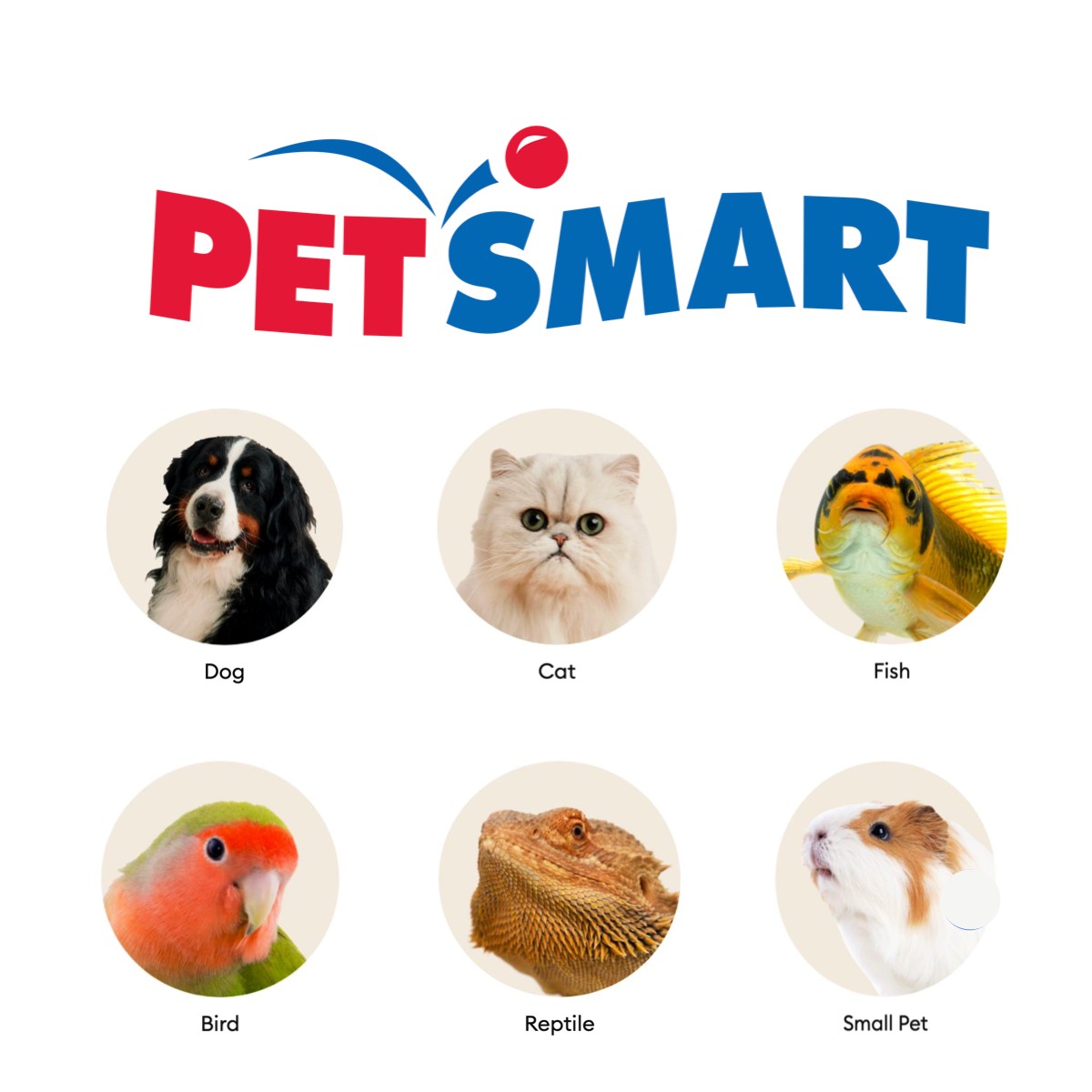PetSmart – Greenery México