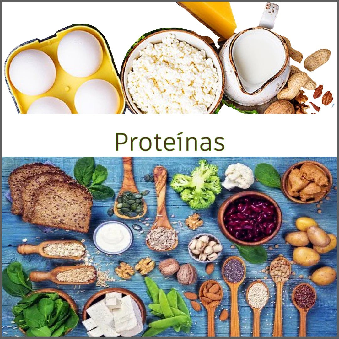 Proteínas