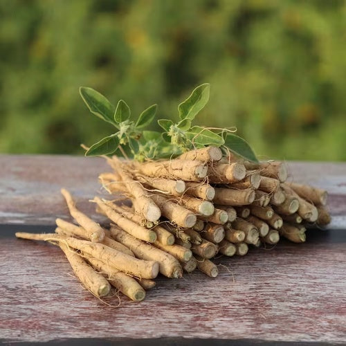 Organic India, Gomitas de Ashwagandha orgánica, sabor Lima limón. 60 gomitas.