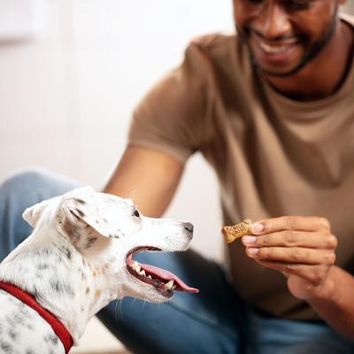 Mini's Flavor Snacks - Galletas para perros con sabor a carne, pollo y tocino, envase de 36 oz