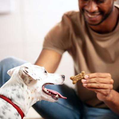 Galletas Flavor Snacks para perros pequeños, caja de 7 lb