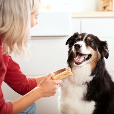 Milk-Bone Original Small, galletas crujientes sabor Res para perros pequeños, 4.54 kg