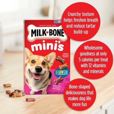 Mini's Flavor Snacks - Galletas para perros con sabor a carne, pollo y tocino, envase de 36 oz